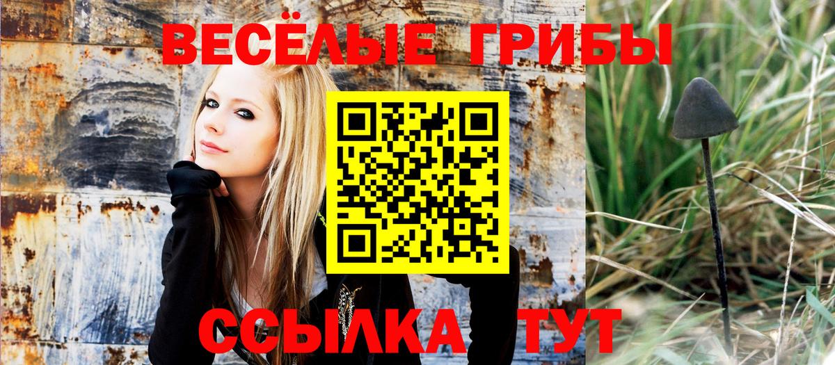Галлюциногенные грибы Magic Shrooms  Вход с VPN  Рославль  Галлюциногенные грибы прущие грибы 